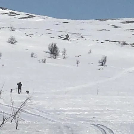 3 Bedroom Lovely In Dagali